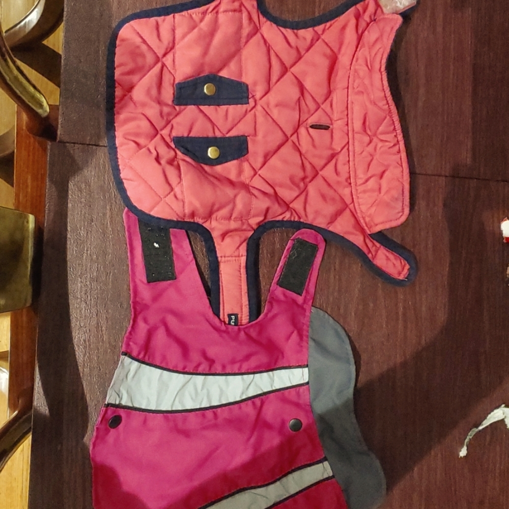 Pet spring jackets